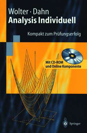 Analysis Individuell: Kompakt zum Prüfungserfolg de Helmut Wolter