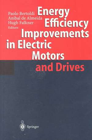 Energy Efficiency Improvements in Electronic Motors and Drives de Paolo Bertoldi