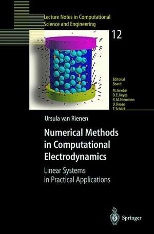 Numerical Methods in Computational Electrodynamics: Linear Systems in Practical Applications de Ursula van Rienen