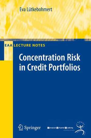 Concentration Risk in Credit Portfolios de Eva Lütkebohmert