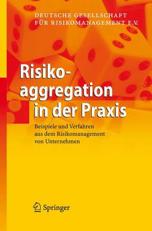 Risikoaggregation in der Praxis: Beispiele und Verfahren aus dem Risikomanagement von Unternehmen de Deutsche Gesellschaft