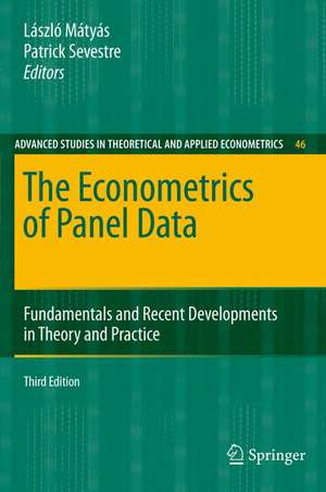 The Econometrics of Panel Data: Fundamentals and Recent Developments in Theory and Practice de Lászlo Mátyás