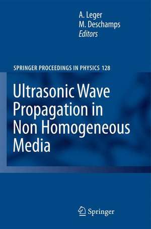 Ultrasonic Wave Propagation in Non Homogeneous Media de Alain Leger