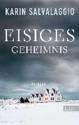 Eisiges Geheimnis de Karin Salvalaggio