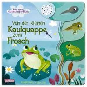 Von der kleinen Kaulquappe zum Frosch de Annabel Savery