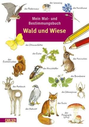 Mein Mal- und Bestimmungsbuch - Wald und Wiese de Imke Rudel