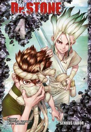 Dr. Stone 4 de Boichi