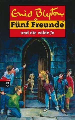 Fünf Freunde 19. Fünf Freunde und die wilde Joe de Enid Blyton