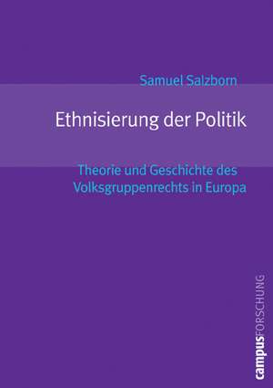 Ethnisierung der Politik de Samuel Salzborn