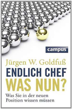 Endlich Chef - was nun? de Jürgen W. Goldfuß