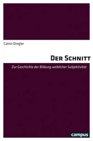 Der Schnitt de Catrin Dingler