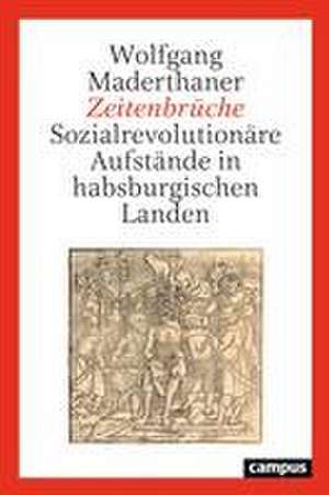 Zeitenbrüche de Wolfgang Maderthaner