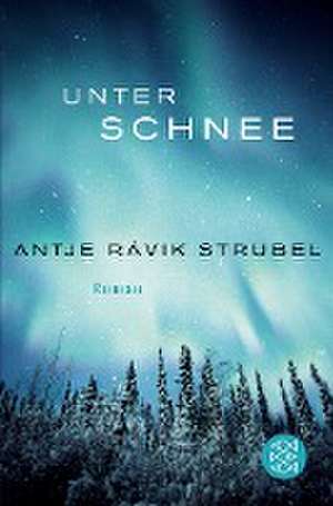 Unter Schnee de Antje Rávik Strubel