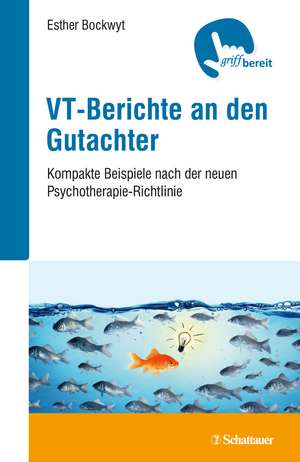 VT-Berichte an den Gutachter de Esther Bockwyt