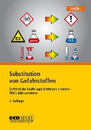 Substitution von Gefahrstoffen de Birgit Stöffler