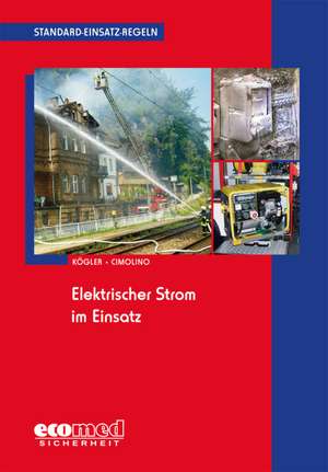 Standard-Einsatz-Regeln: Elektrischer Strom im Einsatz de Ulrich Cimolino