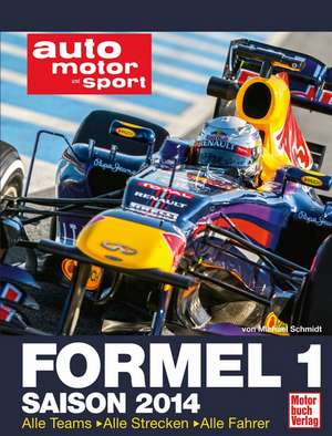 Formel 1 Saison 2014 de Michael Schmidt