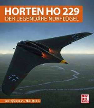 Horten Ho 229 de Andrei Schepelew