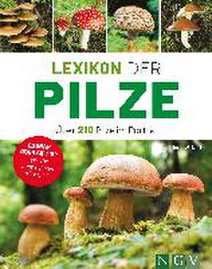 Lexikon der Pilze - Über 210 Pilze im Porträt de Hans W. Kothe