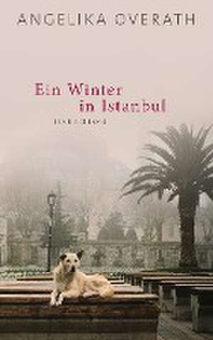 Ein Winter in Istanbul de Angelika Overath