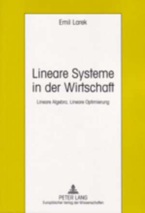 Lineare Systeme in Der Wirtschaft