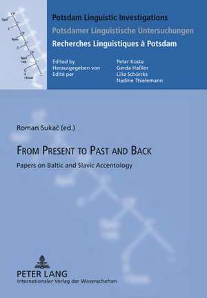 From Present to Past and Back de Roman Sukac