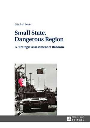 Small State, Dangerous Region de Mitchell Belfer