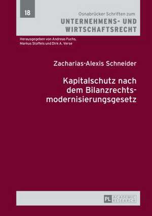 Kapitalschutz Nach Dem Bilanzrechtsmodernisierungsgesetz: Jewish Art and Jewish Artists in Central and Eastern European Modernism at the Turn of the Last Century de Zacharias-Alexis Schneider