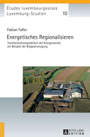 Energetisches Regionalisieren de Fabian Faller