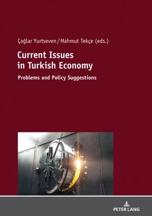 Current Issues in Turkish Economics