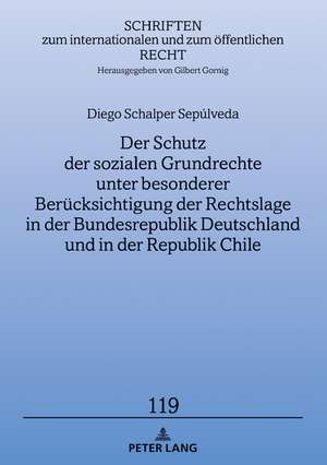 Der Schutz der sozialen Grundrechte unter besonderer Berücksichtigung der Rechtslage in der Bundesrepublik Deutschland und in der Republik Chile de Diego Schalper