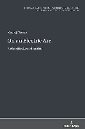 On an Electric Arc de Maciej Nowak