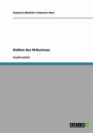 Risiken des M-Business de Sebastian Hahn