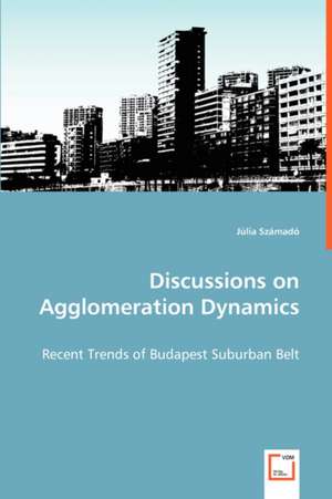 Discussions on Agglomeration Dynamics de Júlia Számadó