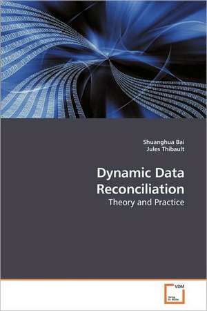 Dynamic Data Reconciliation de Shuanghua Bai