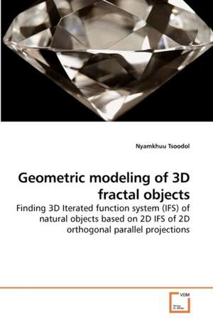 Geometric modeling of 3D fractal objects de Nyamkhuu Tsoodol