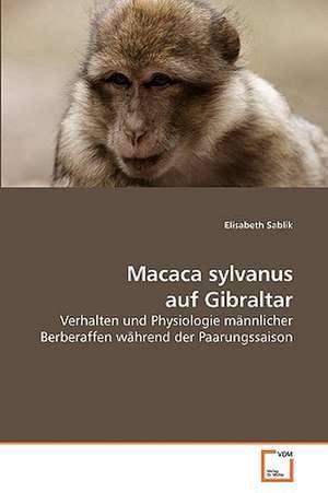 Macaca sylvanus auf Gibraltar de Elisabeth Sablik