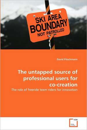 The untapped source of professional users for co-creation de David Pitschmann