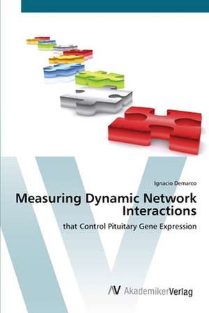 Measuring Dynamic Network Interactions de Ignacio Demarco