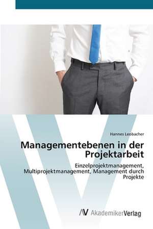 Managementebenen in der Projektarbeit de Hannes Leobacher