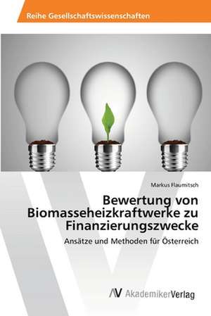 Bewertung von Biomasseheizkraftwerke zu Finanzierungszwecke de Flaumitsch Markus