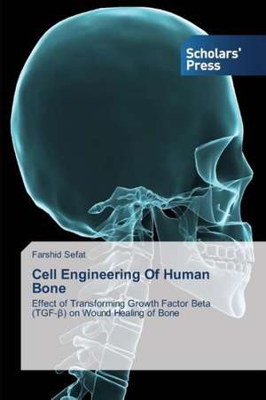 Cell Engineering of Human Bone: A Study on Their Performance de Farshid Sefat