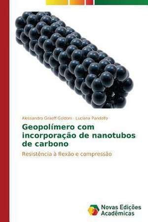 Geopolimero Com Incorporacao de Nanotubos de Carbono: Em Concreto E Afeto de Alessandro Graeff Goldoni