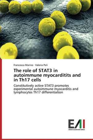 The Role of Stat3 in Autoimmune Myocarditits and in Th17 Cells: Gli Amori Difficili de Francesca Marino