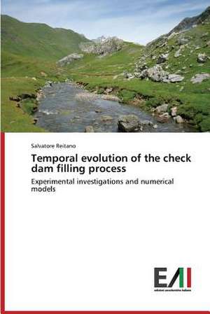 Temporal Evolution of the Check Dam Filling Process