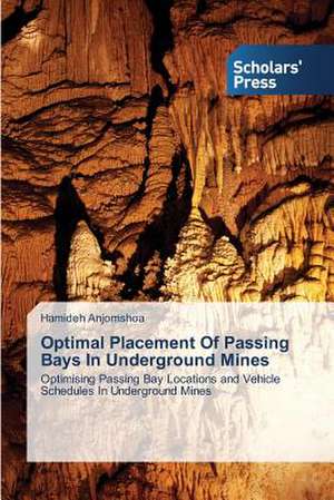 Optimal Placement of Passing Bays in Underground Mines: Resilience in Rural Southeastern Montana de Hamideh Anjomshoa