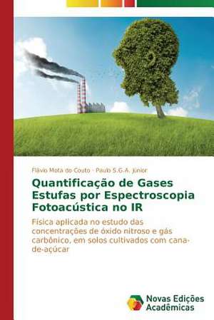 Quantificacao de Gases Estufas Por Espectroscopia Fotoacustica No IR: Orquestrando Processos de Negocio de Flávio Mota do Couto