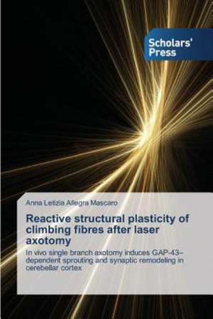 Reactive Structural Plasticity of Climbing Fibres After Laser Axotomy: Esthetics and Ethics in the Novel de Anna Letizia Allegra Mascaro