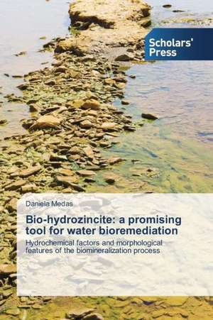 Bio-Hydrozincite: A Promising Tool for Water Bioremediation de Daniela Medas