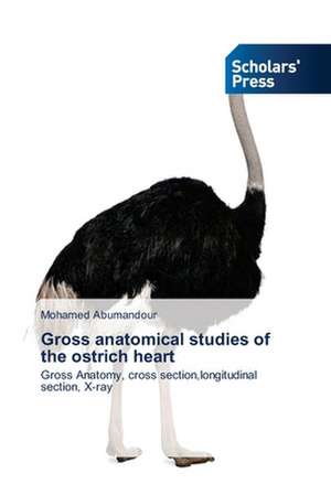 Gross Anatomical Studies of the Ostrich Heart: Late Modernity in Language Classrooms de Mohamed Abumandour